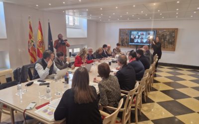 El Gobierno de Aragón refuerza las medidas preventivas ante la evolución de la PPA en Cataluña
