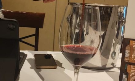 Aragón refuerza su apuesta por el vino y su sabor de verdad