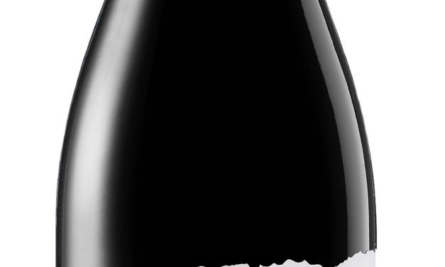 Las Moradas de San Martín lanza LAS LUCES. LIBRO VEINTE