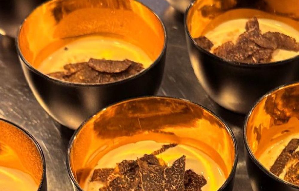 Finalistas de la décima edición de Descubre la trufa