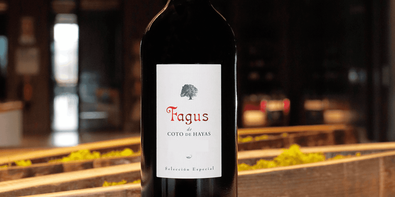El vino Fagus de Bodegas Aragonesas tiene nueva añada, la 2023