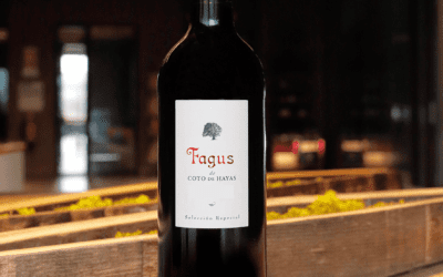El vino Fagus de Bodegas Aragonesas tiene nueva añada, la 2023