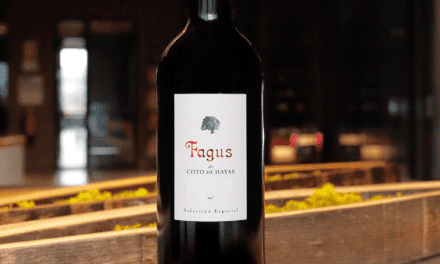 El vino Fagus de Bodegas Aragonesas tiene nueva añada, la 2023