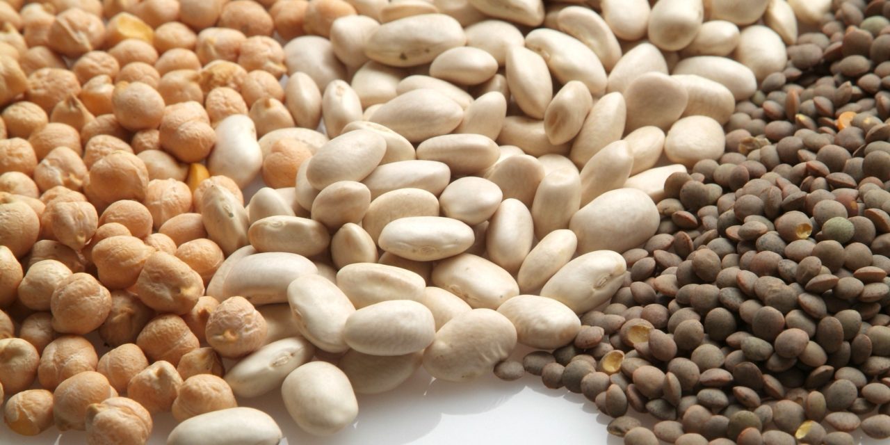 Expertos en nutrición advierten del descenso en el consumo de legumbres y recuerdan su papel esencial en la Dieta Mediterránea