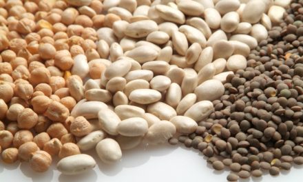 Expertos en nutrición advierten del descenso en el consumo de legumbres y recuerdan su papel esencial en la Dieta Mediterránea