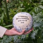 El restaurante Ansils, Sol Sostenible 2026