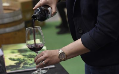 VINOvidiVINCI. Consumo, comercialización y futuro