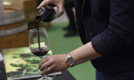 VINOvidiVINCI. Consumo, comercialización y futuro