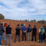 El proyecto FITE ACTIVITé, coordinado por el CITA celebra una jornada sobre injertos de viña en Báguena y San Martín del Río