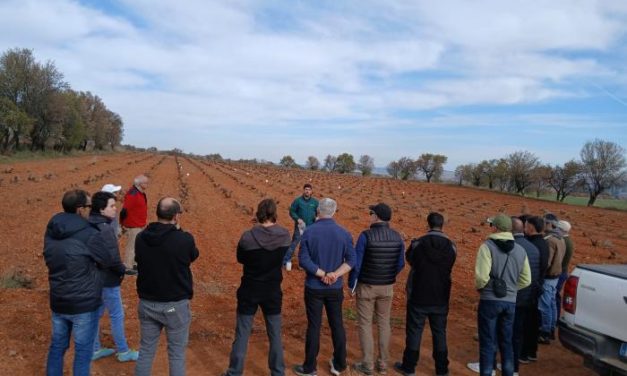 El proyecto FITE ACTIVITé, coordinado por el CITA celebra una jornada sobre injertos de viña en Báguena y San Martín del Río