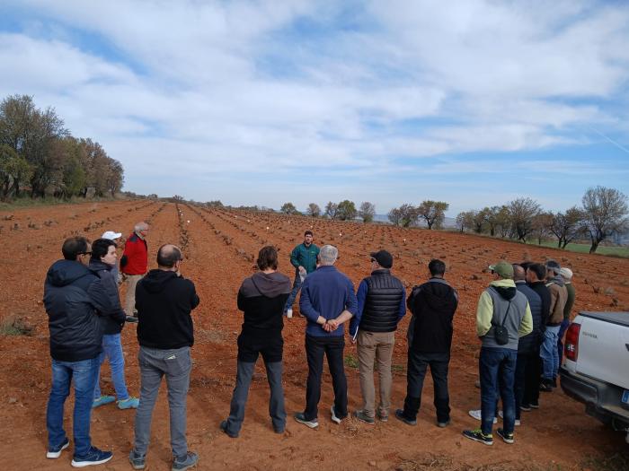 El proyecto FITE ACTIVITé, coordinado por el CITA celebra una jornada sobre injertos de viña en Báguena y San Martín del Río