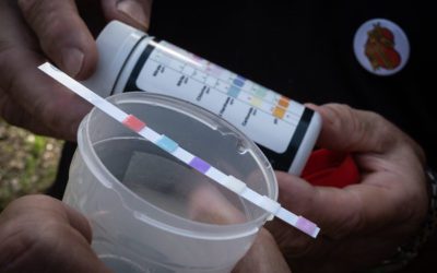 Científicos piden reducir nueve veces los nitratos permitidos en el agua: en Aragón habría 305 municipios bebiendo agua contaminada