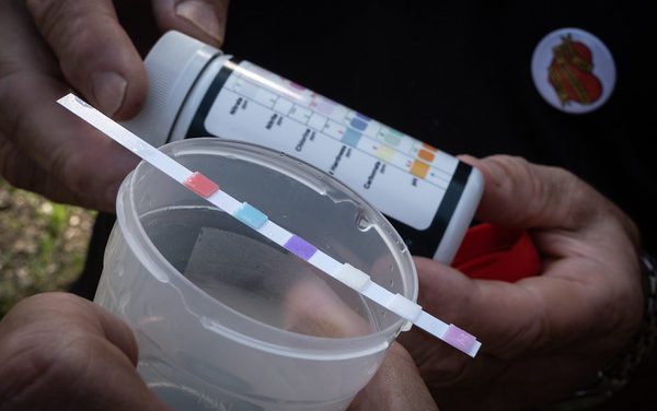 Científicos piden reducir nueve veces los nitratos permitidos en el agua: en Aragón habría 305 municipios bebiendo agua contaminada