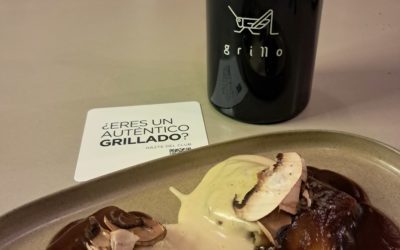 El Grillo y La Luna escoge cinco ciudades españolas para su segundo ‘Grillo On Tour’