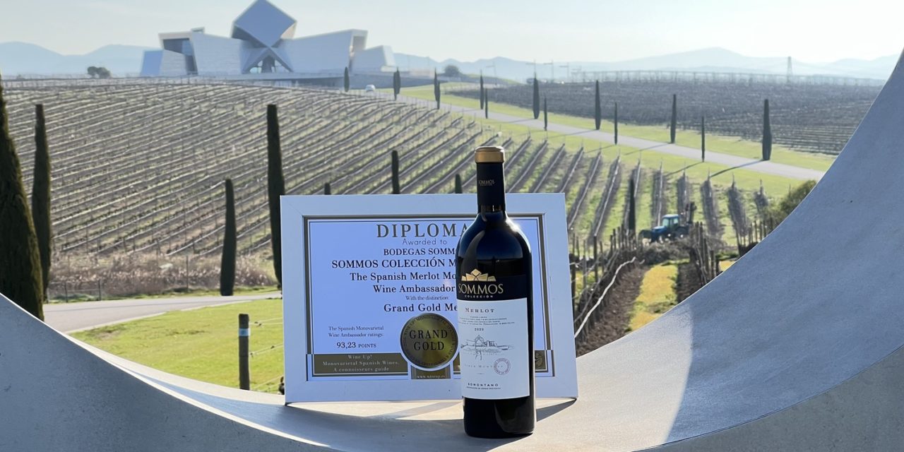 Sommos Colección Merlot 2020, mejor monovarietal de Merlot de España en la guía Wine Up!