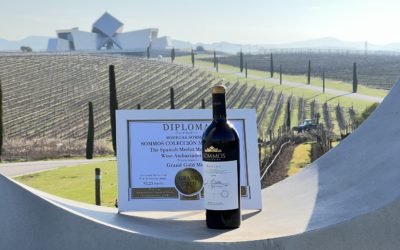 Sommos Colección Merlot 2020, mejor monovarietal de Merlot de España en la guía Wine Up!