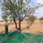 Agricultura impulsa el relevo generacional con financiación pionera para el campo