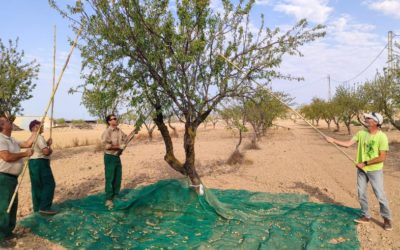 Agricultura impulsa el relevo generacional con financiación pionera para el campo