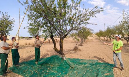 Agricultura impulsa el relevo generacional con financiación pionera para el campo