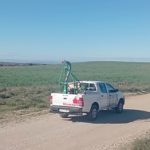 Agricultura actúa contra los primeros focos de langosta en Monegrillo