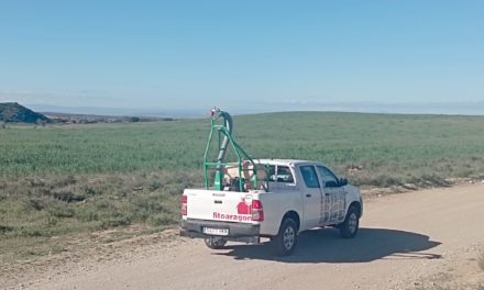 Agricultura actúa contra los primeros focos de langosta en Monegrillo