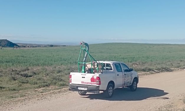 Agricultura actúa contra los primeros focos de langosta en Monegrillo