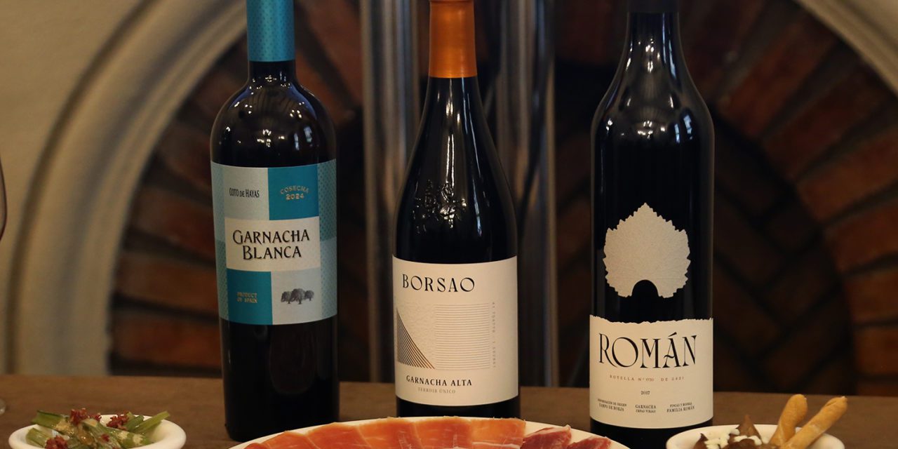 Se abre el plazo para comprar las entradas de la XXII Muestra de Garnachas de la DOP Campo de Borja