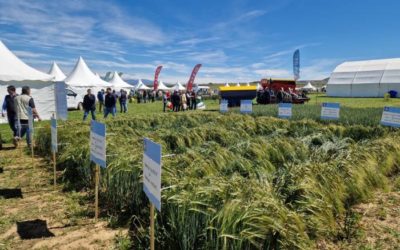 Aragón refuerza su liderazgo en innovación agraria en Cultiva 2026