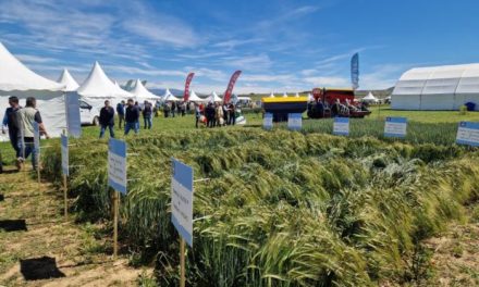 Aragón refuerza su liderazgo en innovación agraria en Cultiva 2026