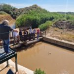 Pedrola celebra el histórico Trallo con la presencia de la consejera Arancha Simón