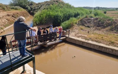 Pedrola celebra el histórico Trallo con la presencia de la consejera Arancha Simón