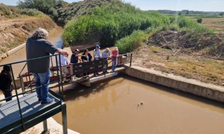 Pedrola celebra el histórico Trallo con la presencia de la consejera Arancha Simón