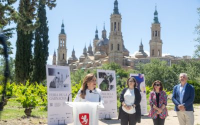 La Feria Internacional de la Garnacha regresa al Parque de Macanaz entre el 4 y 7 de junio tras el éxito de la primera edición