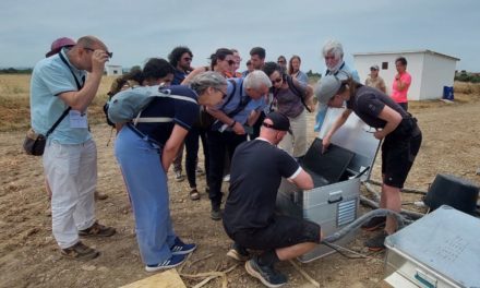 El enfoque multidisciplinar, clave en la adaptación y mitigación del cambio climático en el sector agroalimentario