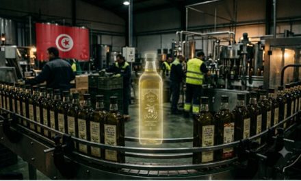 El “aceite fantasma tunecino” campa a sus anchas por España distorsionando el mercado interno
