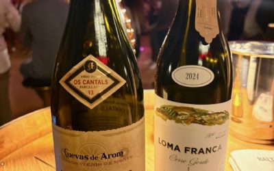Bodegas San Alejandro abre las puertas de Atelier, para expresar el viñedo viejo de Calatayud
