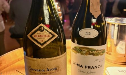Bodegas San Alejandro abre las puertas de Atelier, para expresar el viñedo viejo de Calatayud