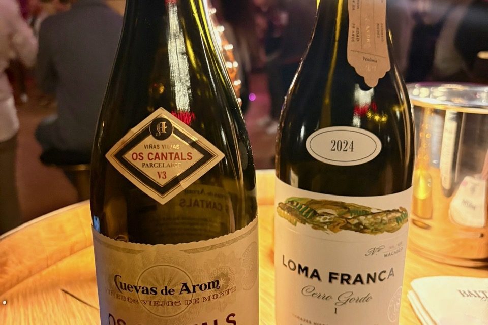 Bodegas San Alejandro abre las puertas de Atelier, para expresar el viñedo viejo de Calatayud