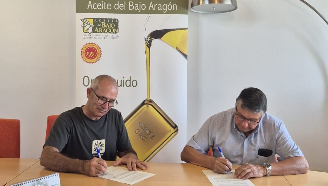 El Consejo Regulador de la DOP Aceite Bajo Aragón y la Asociación Aragonesa de Amigos de las Oliveras Centenarias firman un convenio de colaboración