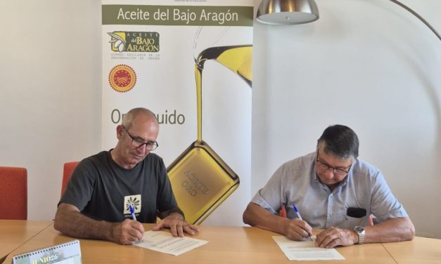El Consejo Regulador de la DOP Aceite Bajo Aragón y la Asociación Aragonesa de Amigos de las Oliveras Centenarias firman un convenio de colaboración
