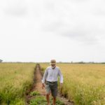 La Bocca arranca El verano del arroz