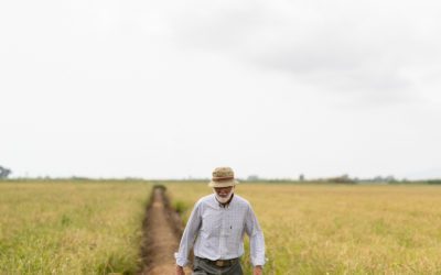 La Bocca arranca El verano del arroz