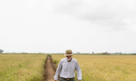 La Bocca arranca El verano del arroz