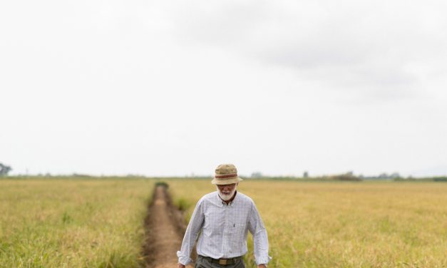La Bocca arranca El verano del arroz