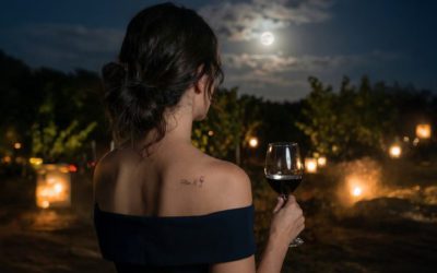La DOP Cariñena transformará sus vinos en música en una experiencia exclusiva al atardecer entre viñedos