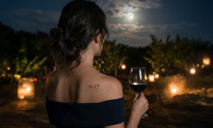 La DOP Cariñena transformará sus vinos en música en una experiencia exclusiva al atardecer entre viñedos