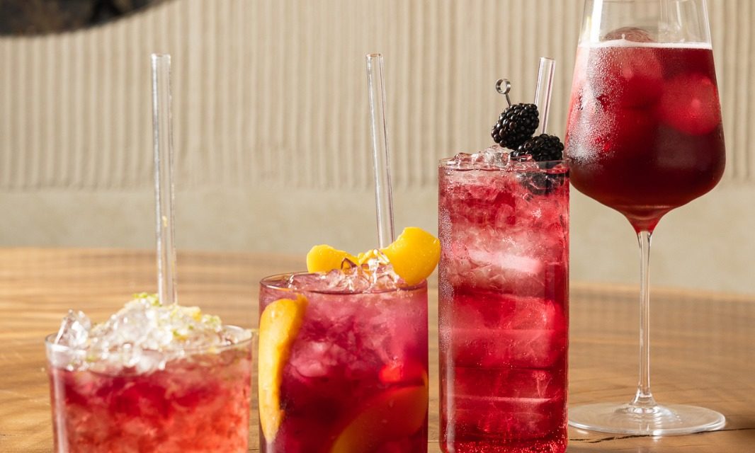 La DOP Cariñena presenta Plan Ñ, una nueva forma de vivir el vino que arranca con los cariñena spritz de Borja Insa