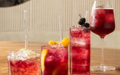 La DOP Cariñena presenta Plan Ñ, una nueva forma de vivir el vino que arranca con los cariñena spritz de Borja Insa