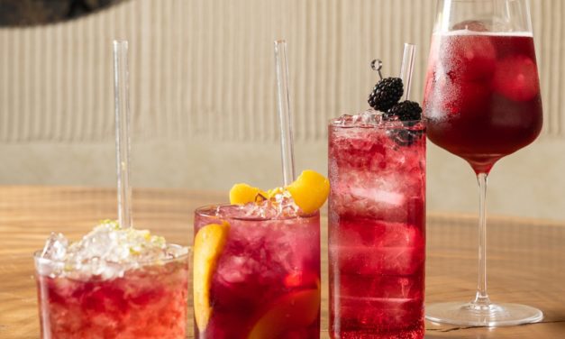 La DOP Cariñena presenta Plan Ñ, una nueva forma de vivir el vino que arranca con los cariñena spritz de Borja Insa