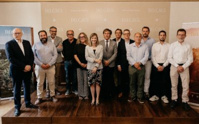 Marta Vidal, elegida por mayoría absoluta como la nueva presidenta de la D.O. CAVA